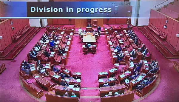 The Australian Senate has voted to strike down the Citizenship Amendment Bill.
