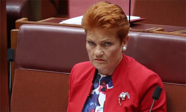 Pauline Hanson says international groups 'campaigned heavily to promote the no vote' in a survey on proposed changes to the citizenship test. (Photograph: Mike Bowers The Guardian).