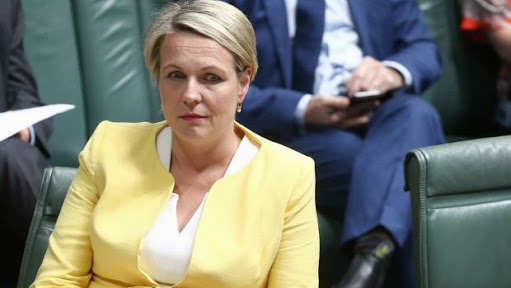 Labor education spokeswoman Tanya Plibersek says it is unfair to ask students to pay more for a degree. (Photo: Alex Ellinghausen)